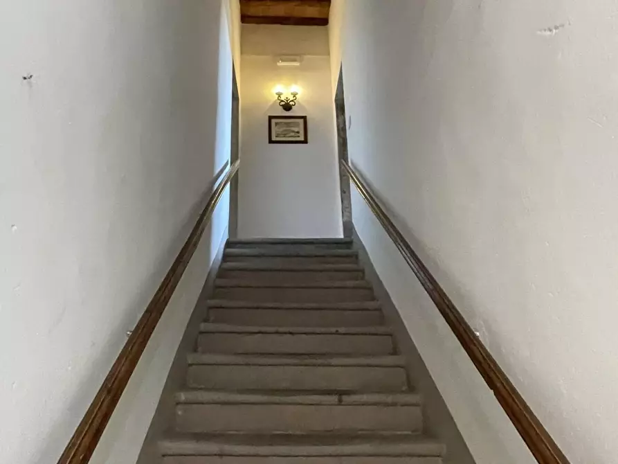 Immagine 56 di Azienda agricola in vendita  a San Miniato