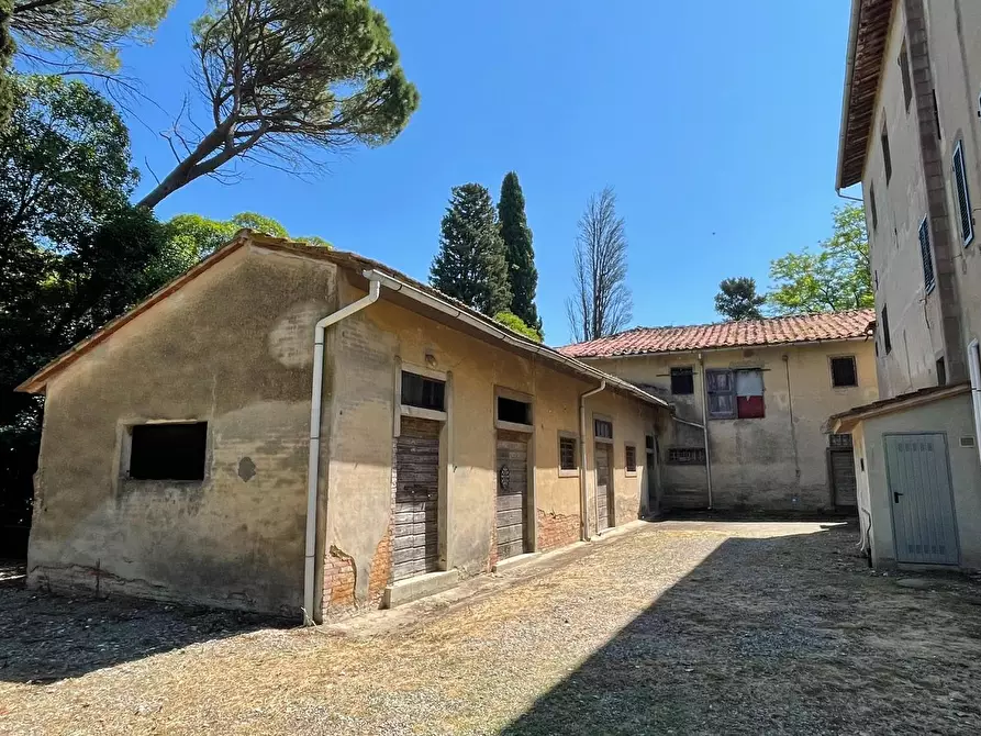 Immagine 18 di Azienda agricola in vendita  a San Miniato