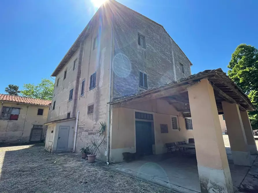 Immagine 19 di Azienda agricola in vendita  a San Miniato