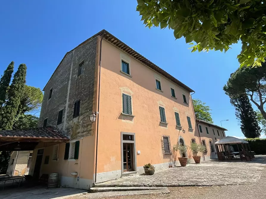 Immagine 6 di Azienda agricola in vendita  a San Miniato