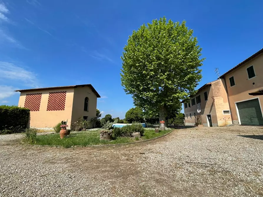 Immagine 41 di Azienda agricola in vendita  a San Miniato