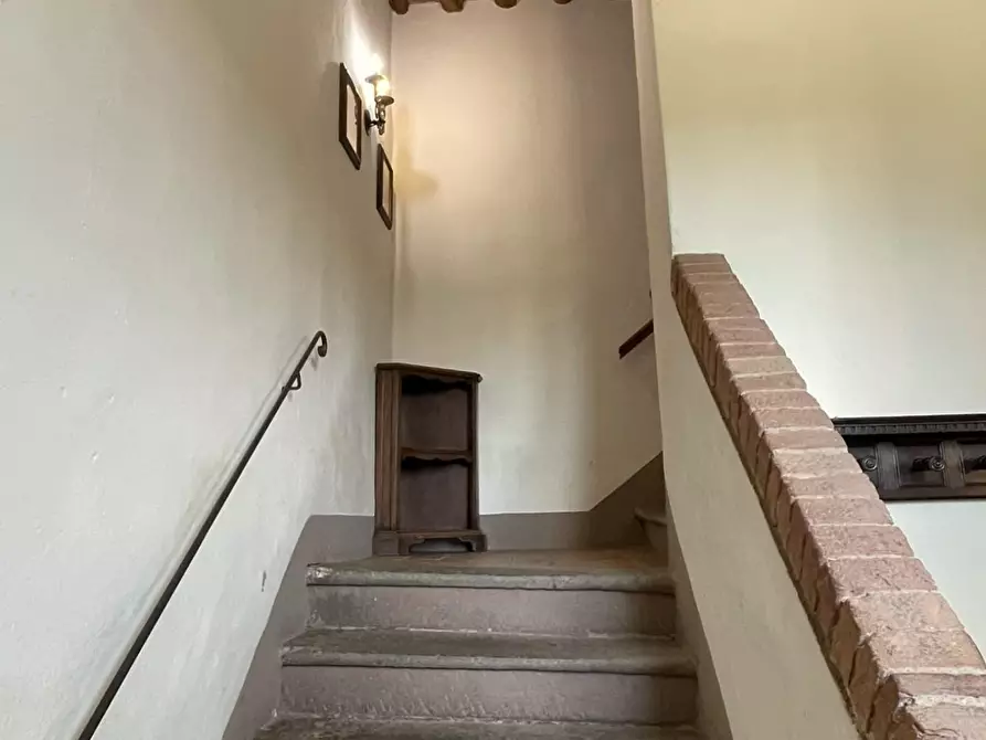 Immagine 55 di Azienda agricola in vendita  a San Miniato