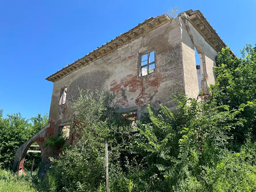 Immagine 107 di Azienda agricola in vendita  a San Miniato