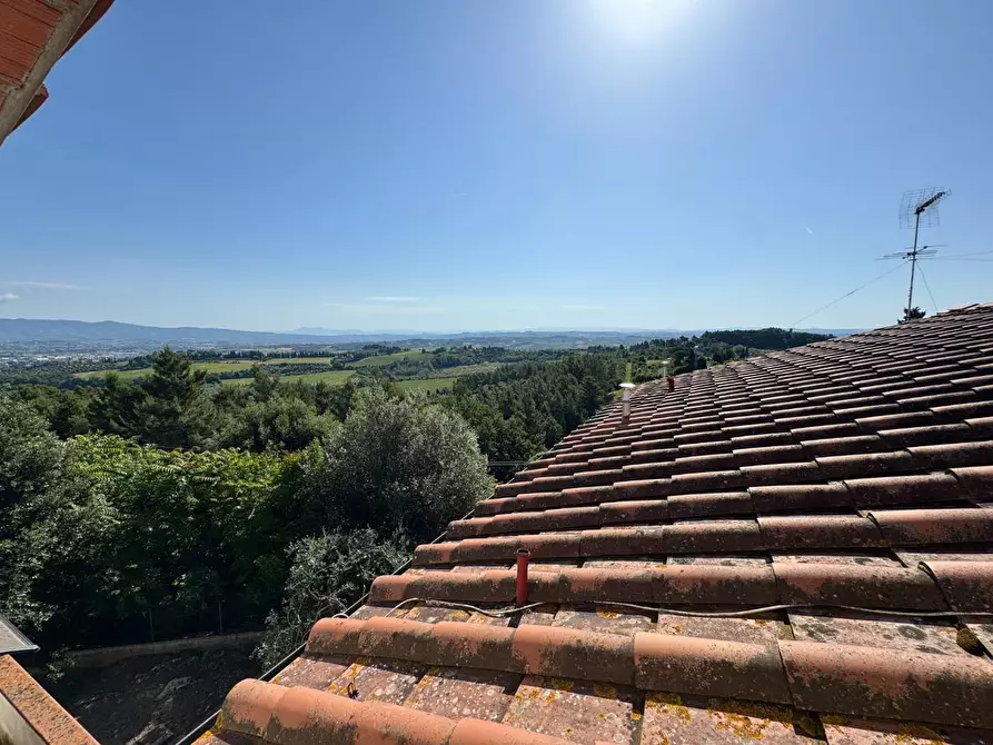 Immagine 36 di Casa colonica in vendita  a San Miniato