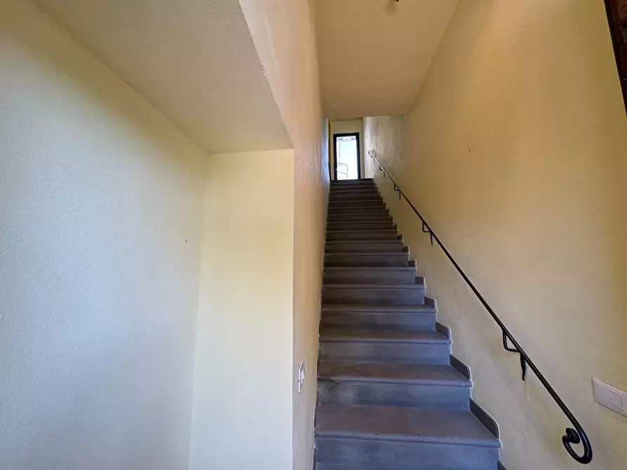 Immagine 17 di Casa colonica in vendita  a San Miniato