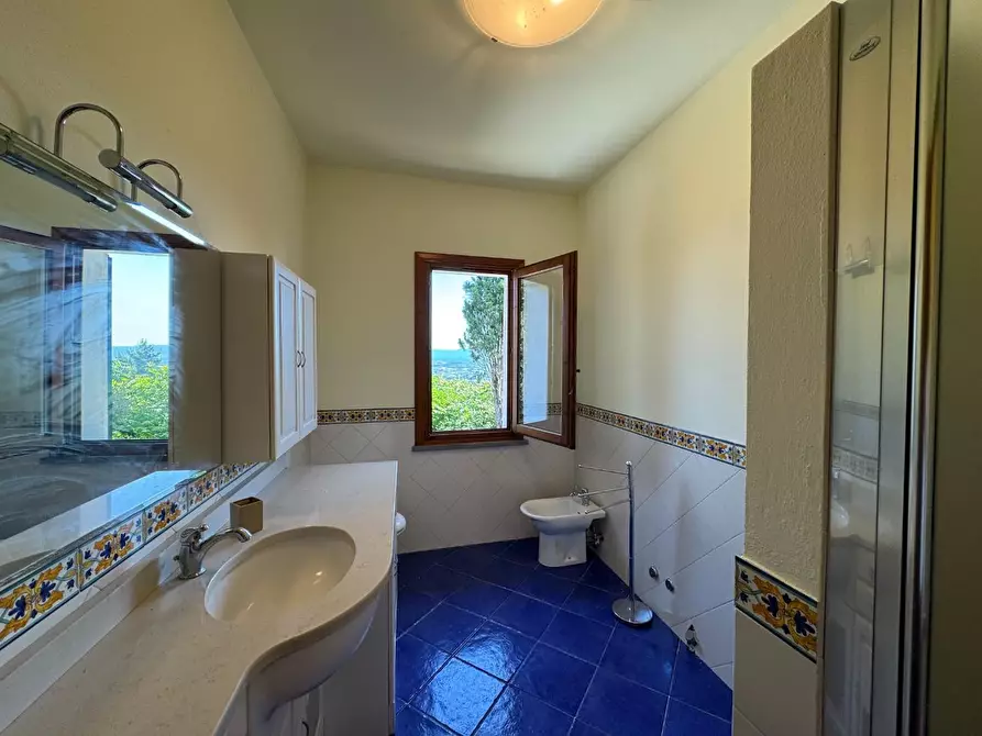 Immagine 30 di Casa colonica in vendita  a San Miniato