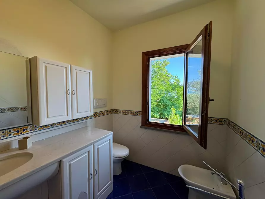 Immagine 31 di Casa colonica in vendita  a San Miniato