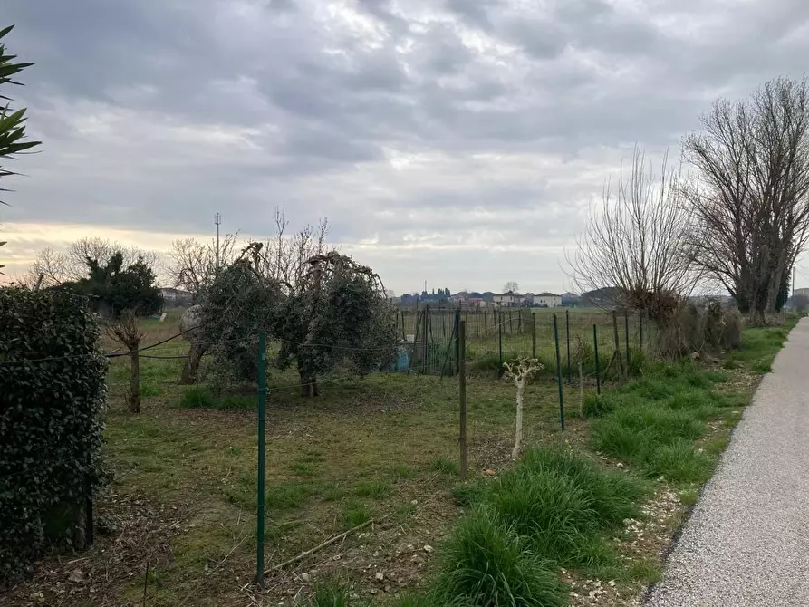 Immagine 3 di Terreno agricolo in vendita  a Cascina