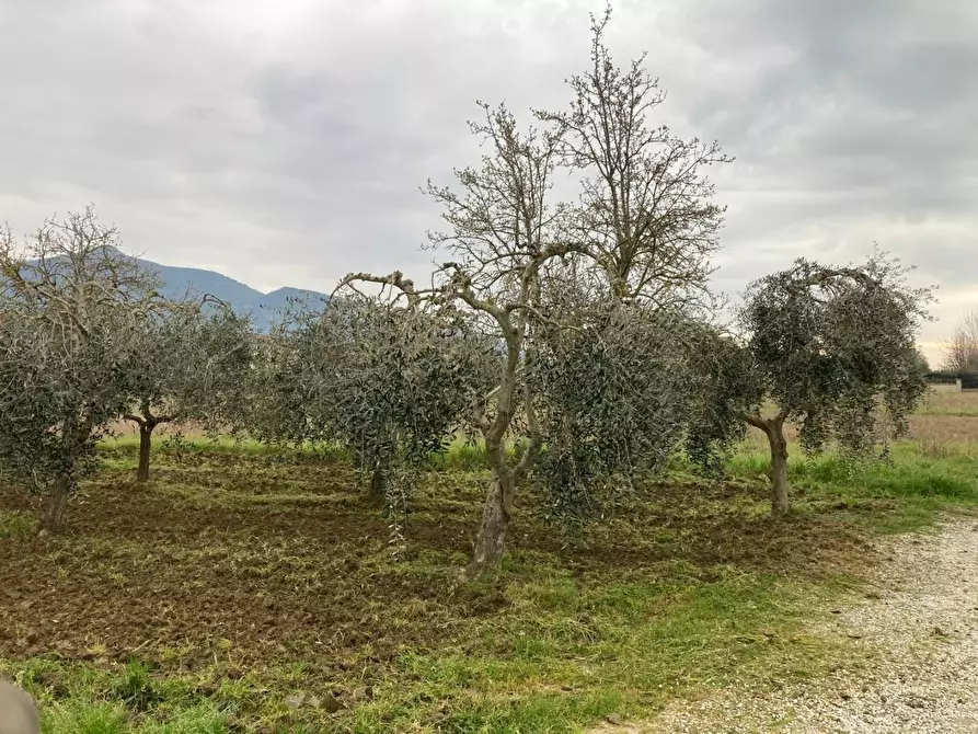 casale in vendita a Cascina in zona San Lorenzo alle Corti