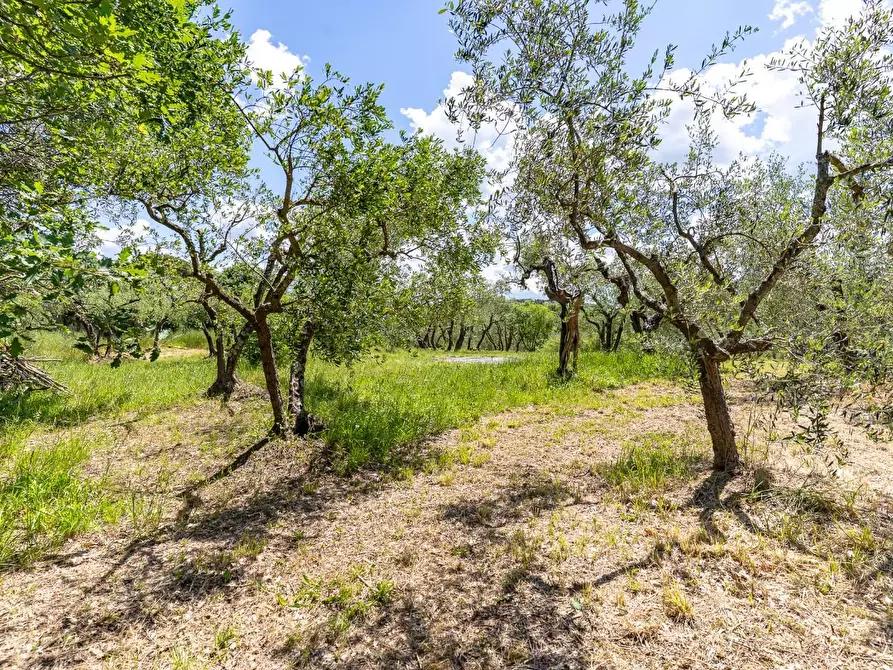 Immagine 49 di Terratetto in vendita  a Lastra A Signa