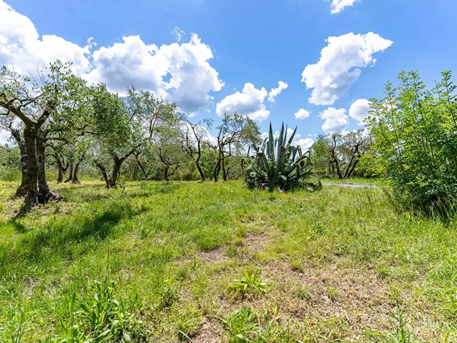Immagine 50 di Terratetto in vendita  a Lastra A Signa