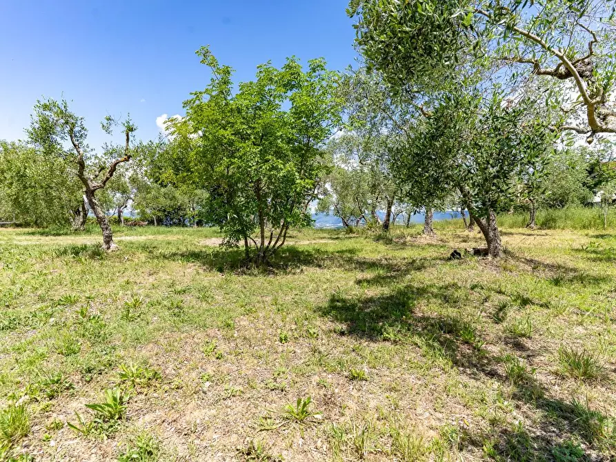 Immagine 51 di Terratetto in vendita  a Lastra A Signa