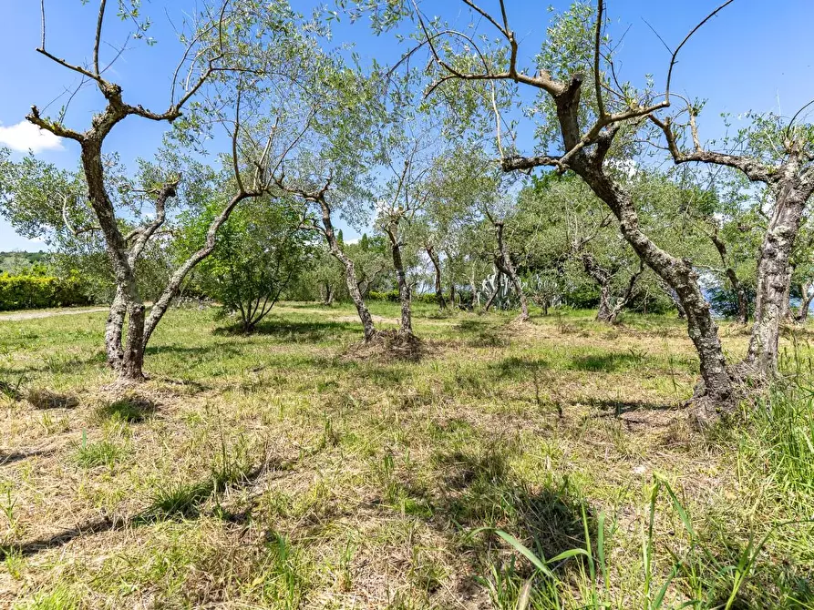 Immagine 52 di Terratetto in vendita  a Lastra A Signa