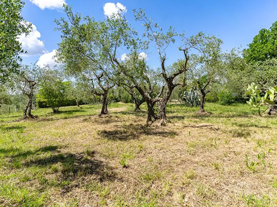 Immagine 53 di Terratetto in vendita  a Lastra A Signa
