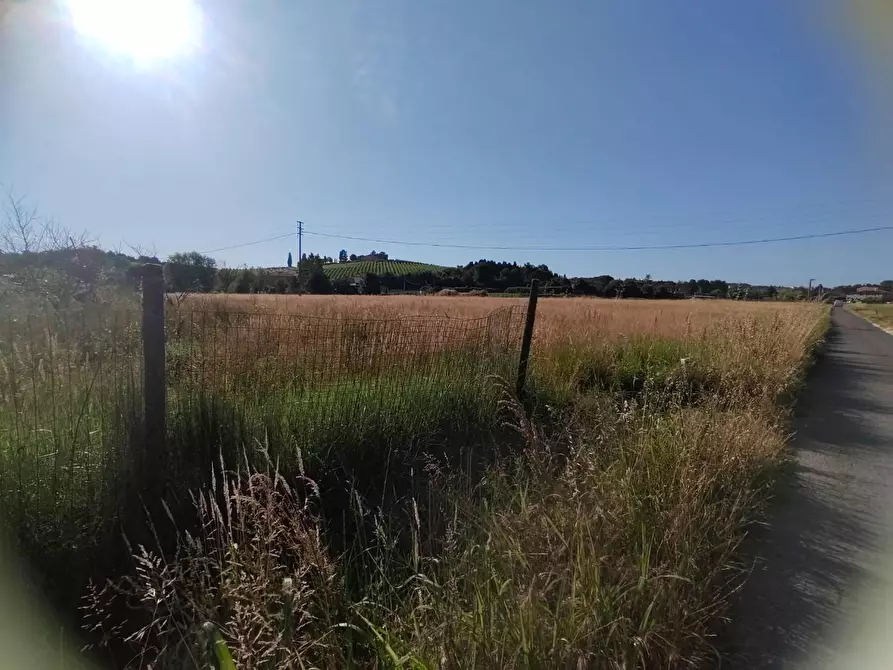 Immagine 9 di Casa colonica in vendita  a Cerreto Guidi