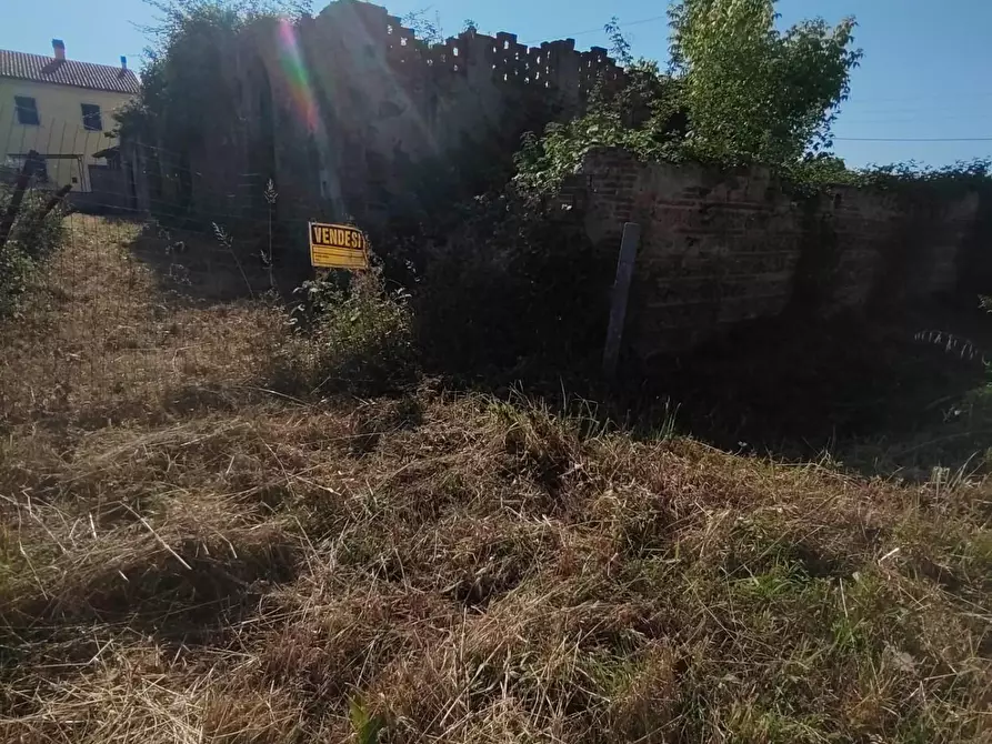 Immagine 11 di Casa colonica in vendita  a Cerreto Guidi