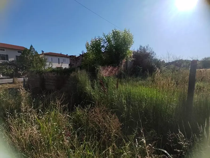 Immagine 8 di Casa colonica in vendita  a Cerreto Guidi