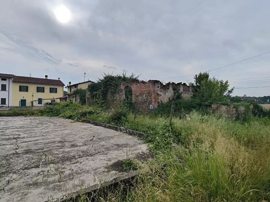 Immagine 5 di Casa colonica in vendita  a Cerreto Guidi