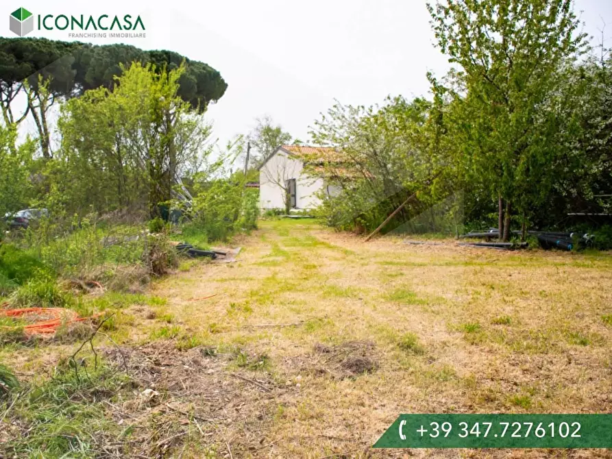 Immagine 22 di Casa bifamiliare in vendita  a Vicopisano