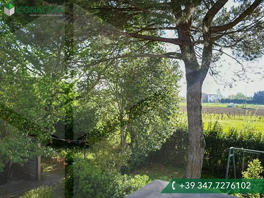 Immagine 19 di Casa bifamiliare in vendita  a Cascina