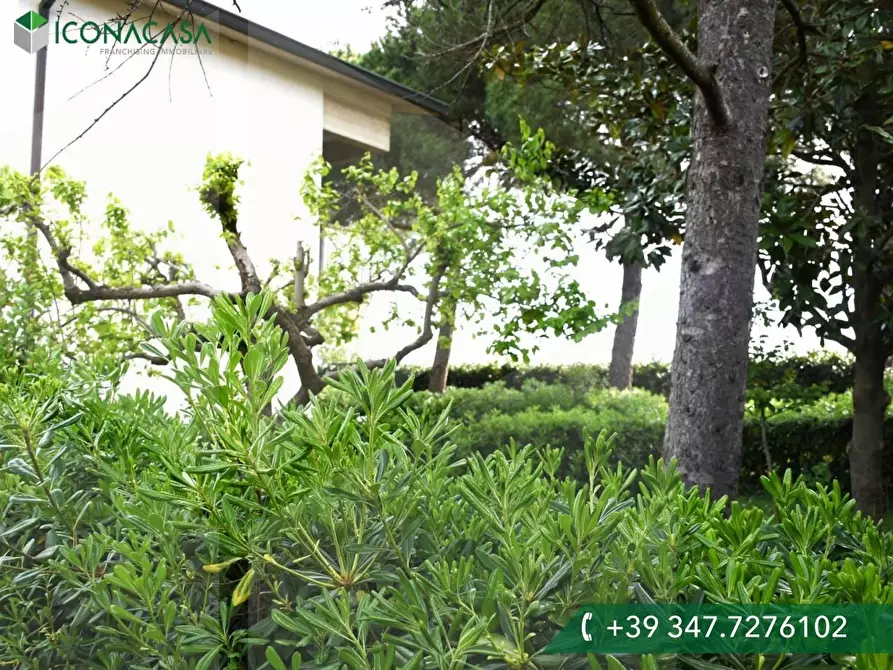 Immagine 41 di Casa bifamiliare in vendita  a Cascina