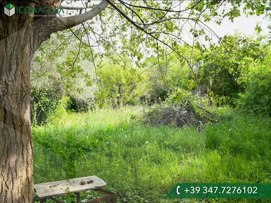 Immagine 13 di Casa bifamiliare in vendita  a Cascina