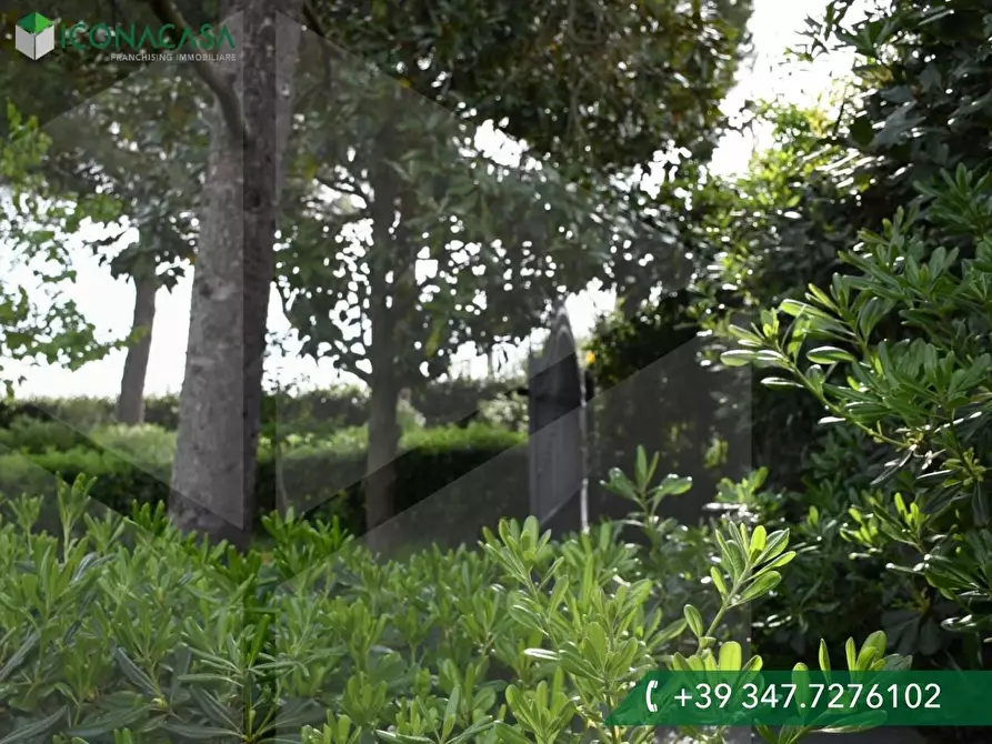 Immagine 40 di Casa bifamiliare in vendita  a Cascina