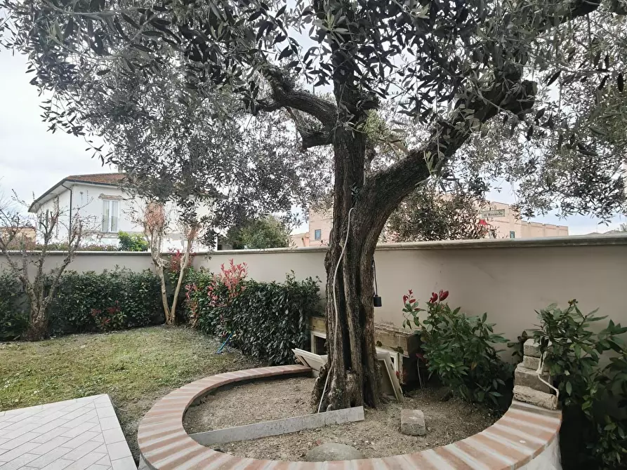 Immagine 22 di Terratetto in vendita  a Fucecchio