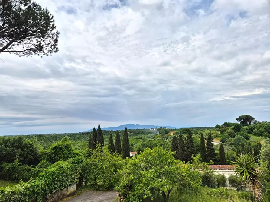 Immagine 36 di Casa indipendente in vendita  a Fucecchio