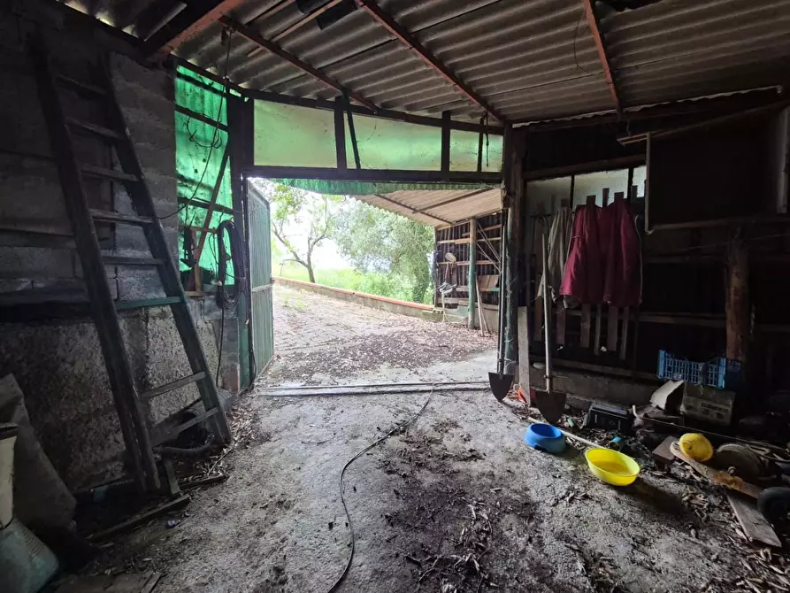 Immagine 47 di Casa indipendente in vendita  a Fucecchio