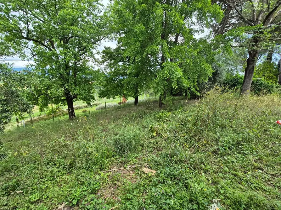 Immagine 43 di Casa indipendente in vendita  a Fucecchio