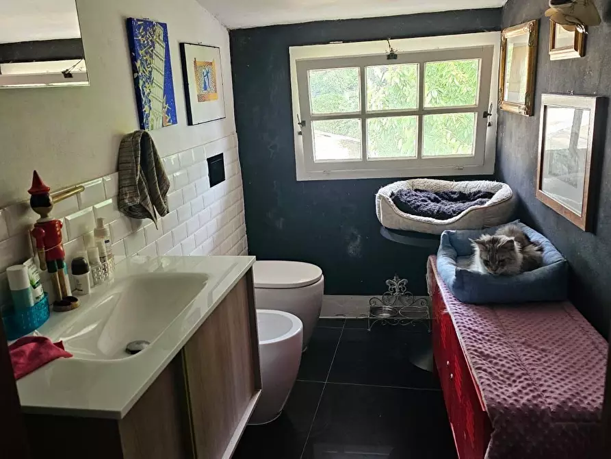 Immagine 13 di Appartamento in vendita  a Pisa