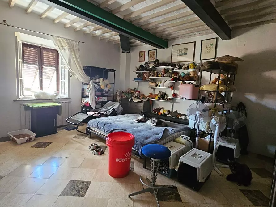 Immagine 9 di Appartamento in vendita  a Pisa