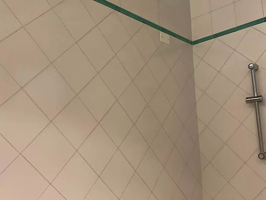 Immagine 15 di Appartamento in affitto  a Pisa