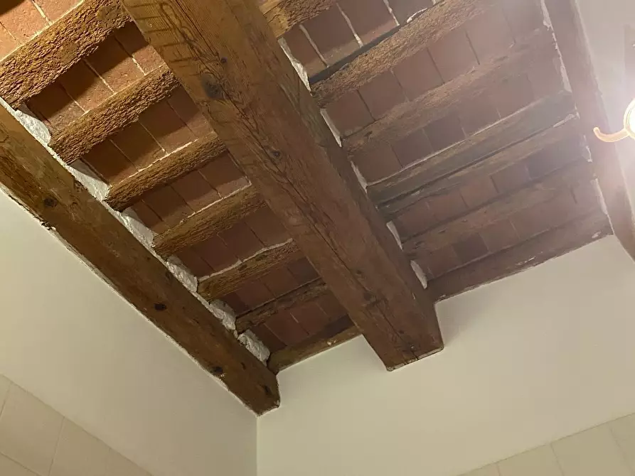 Immagine 16 di Appartamento in affitto  a Pisa