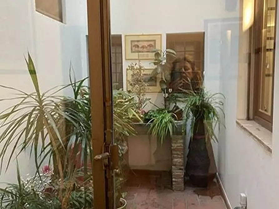 Immagine 17 di Appartamento in affitto  a Pisa