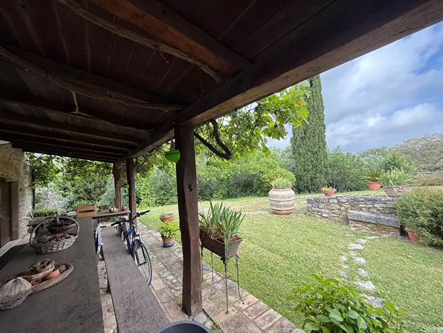 Immagine 6 di Rustico / casale in vendita  a Manciano