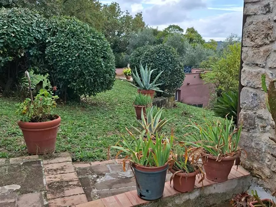 Immagine 29 di Rustico / casale in vendita  a Manciano