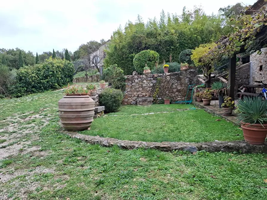 Immagine 7 di Rustico / casale in vendita  a Manciano