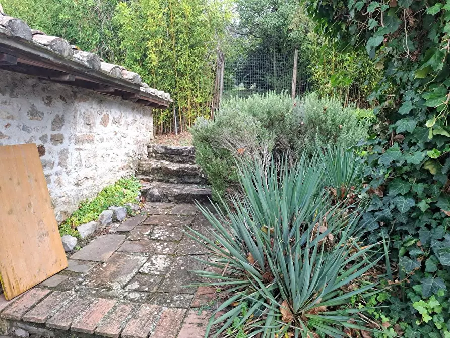 Immagine 11 di Rustico / casale in vendita  a Manciano