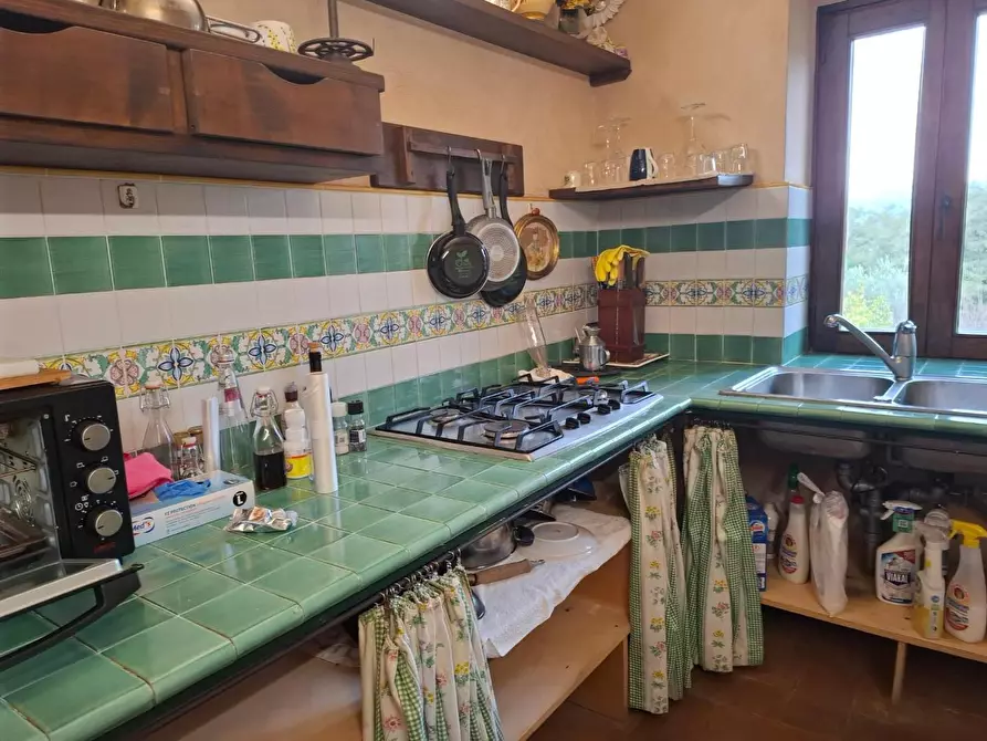 Immagine 23 di Rustico / casale in vendita  a Manciano