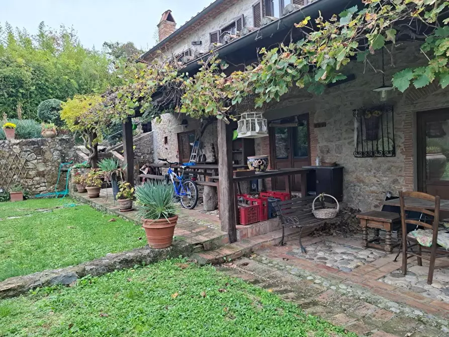 Immagine 5 di Rustico / casale in vendita  a Manciano