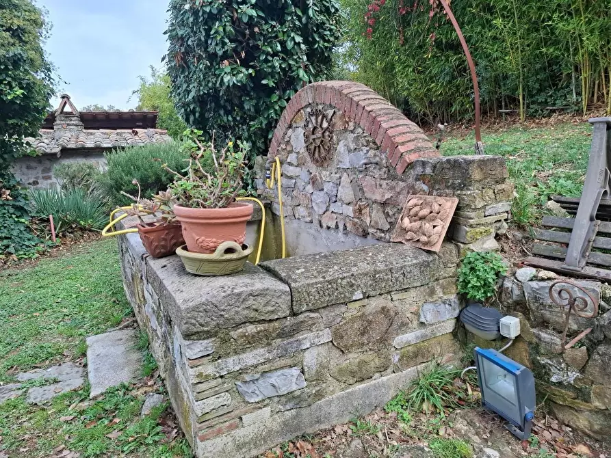 Immagine 9 di Rustico / casale in vendita  a Manciano