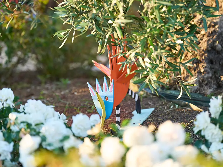 Immagine 31 di Villa in vendita  a Santa Croce Sull'arno