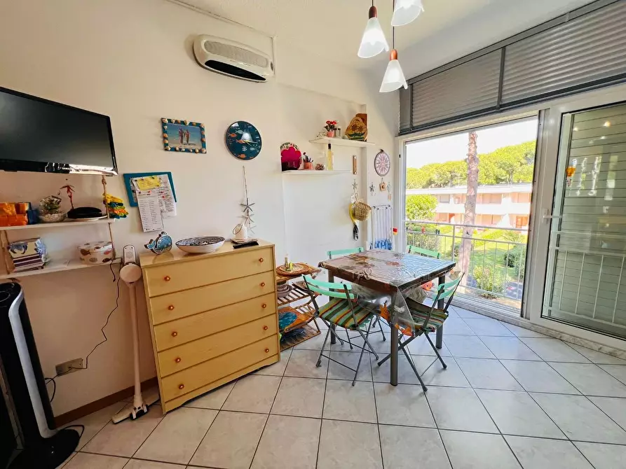 Immagine 14 di Appartamento in vendita  a Bibbona