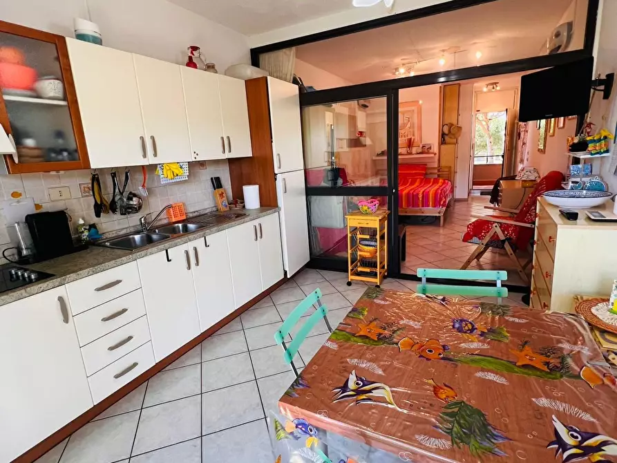 Immagine 8 di Appartamento in vendita  a Bibbona