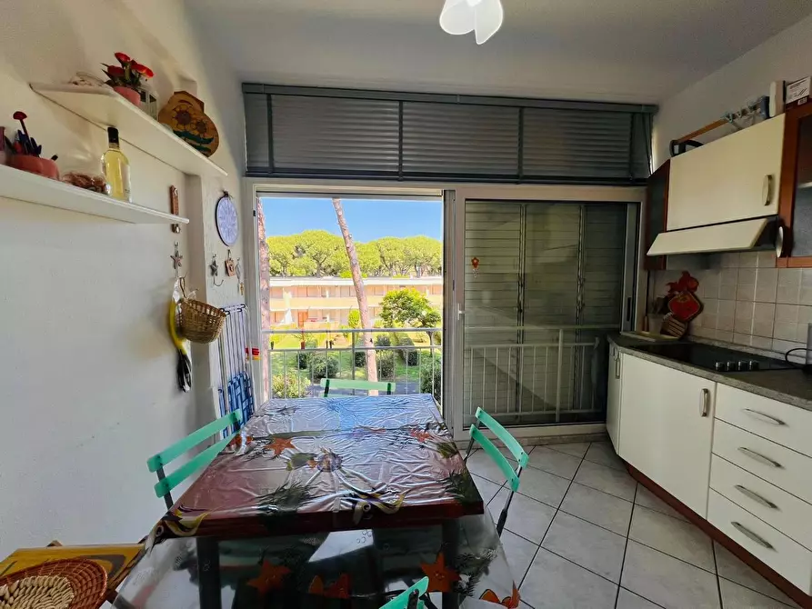 Immagine 7 di Appartamento in vendita  a Bibbona