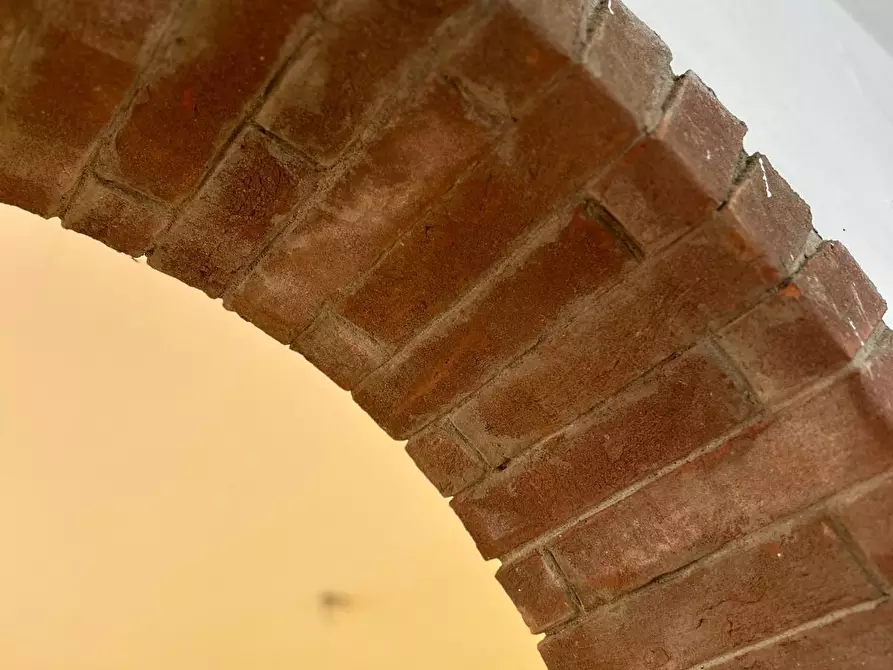 Immagine 5 di Villetta a schiera in vendita  a Casale Marittimo