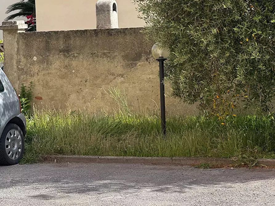 Immagine 22 di Appartamento in vendita  a Pisa