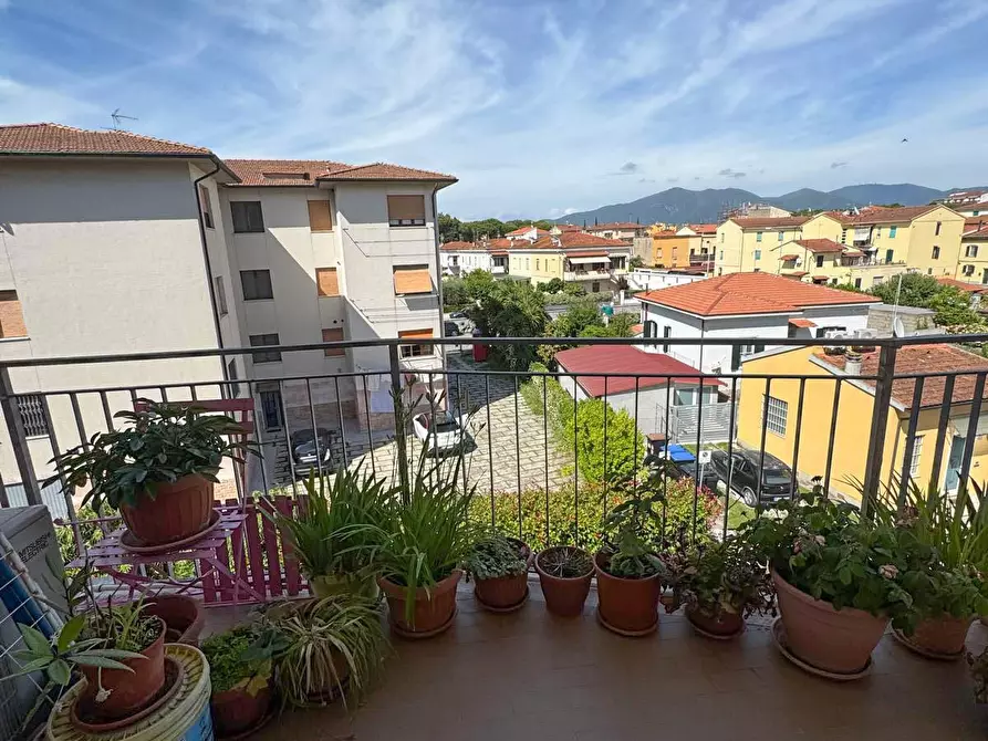 Immagine 21 di Appartamento in vendita  a Pisa